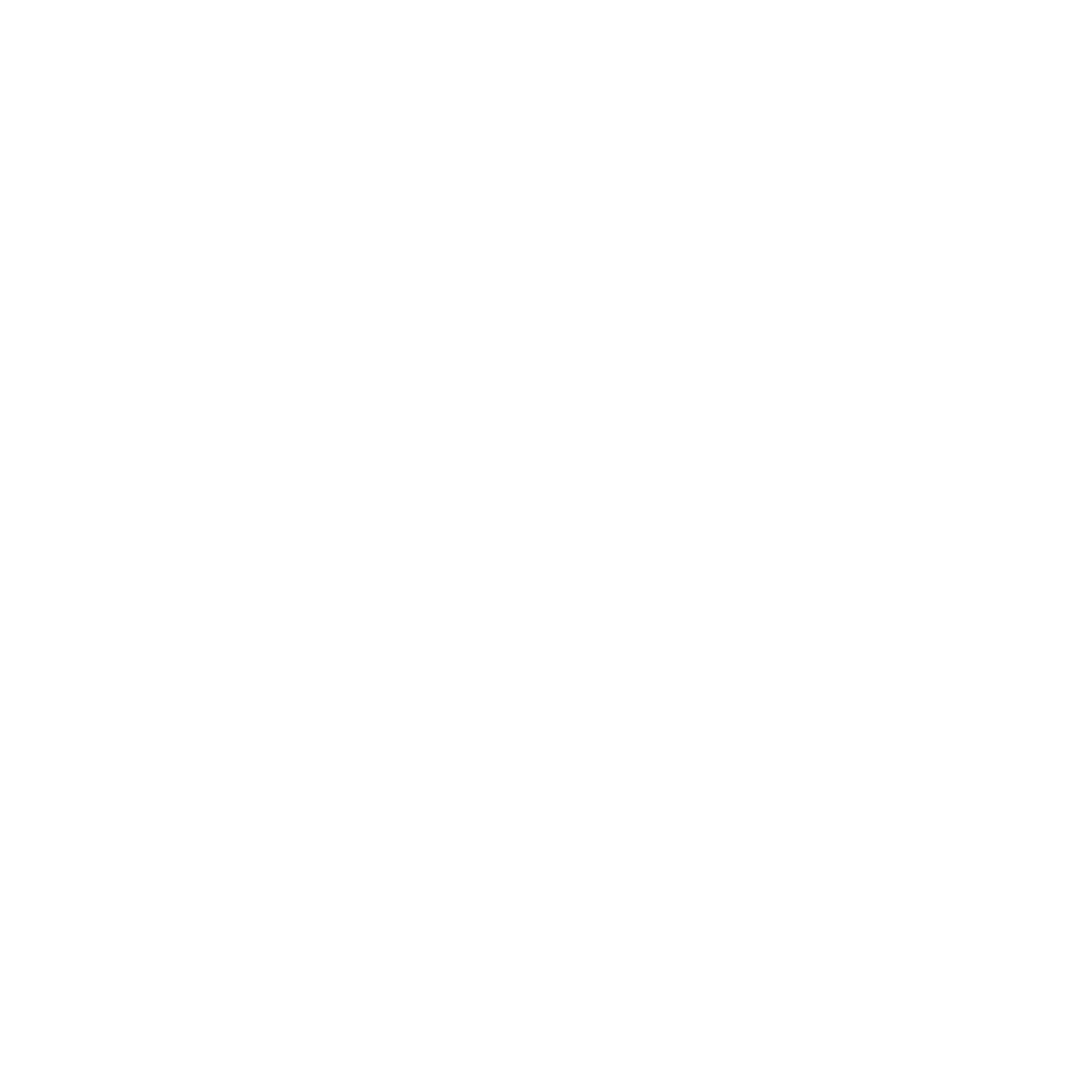 LEISE